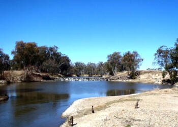 Family fishing on the Murray